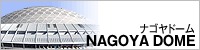 ナゴヤドーム ナゴヤドーム