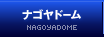 ナゴヤドーム