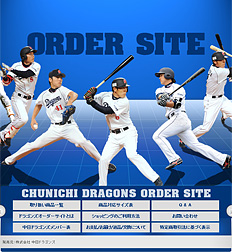 ドラゴンズオーダーサイト
