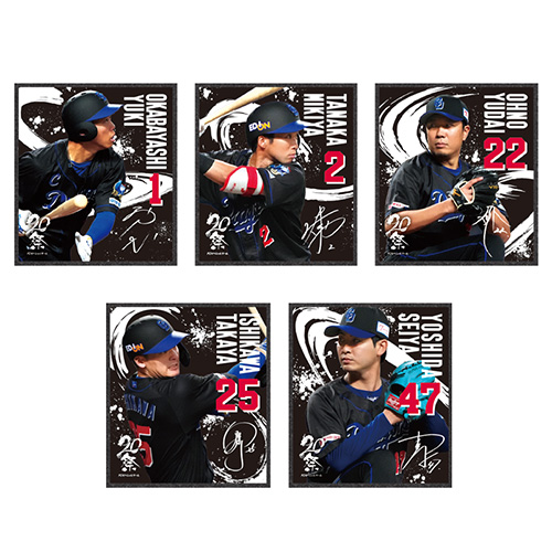 ポイント交換アイテム：公式ファンクラブ - 中日ドラゴンズ