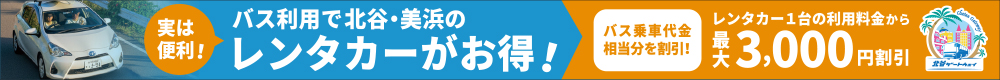 レンタカー連携PR